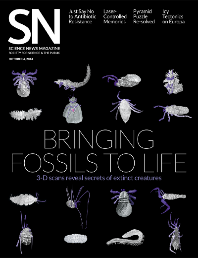 Click here for Science News virtual palaeontology article